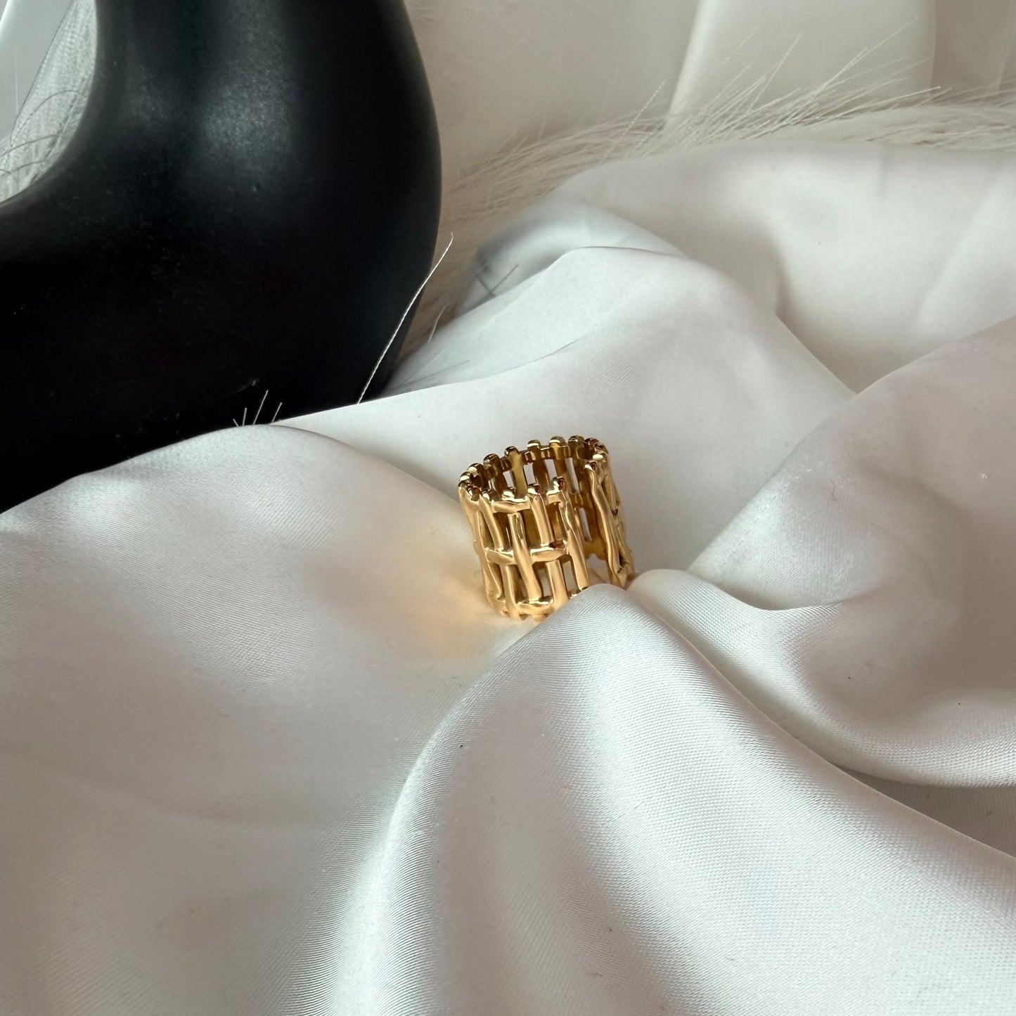 Anello Intrecciato: Trama di Libertà