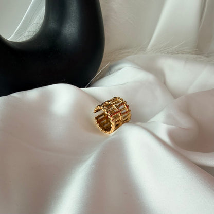 Anello Intrecciato: Trama di Libertà