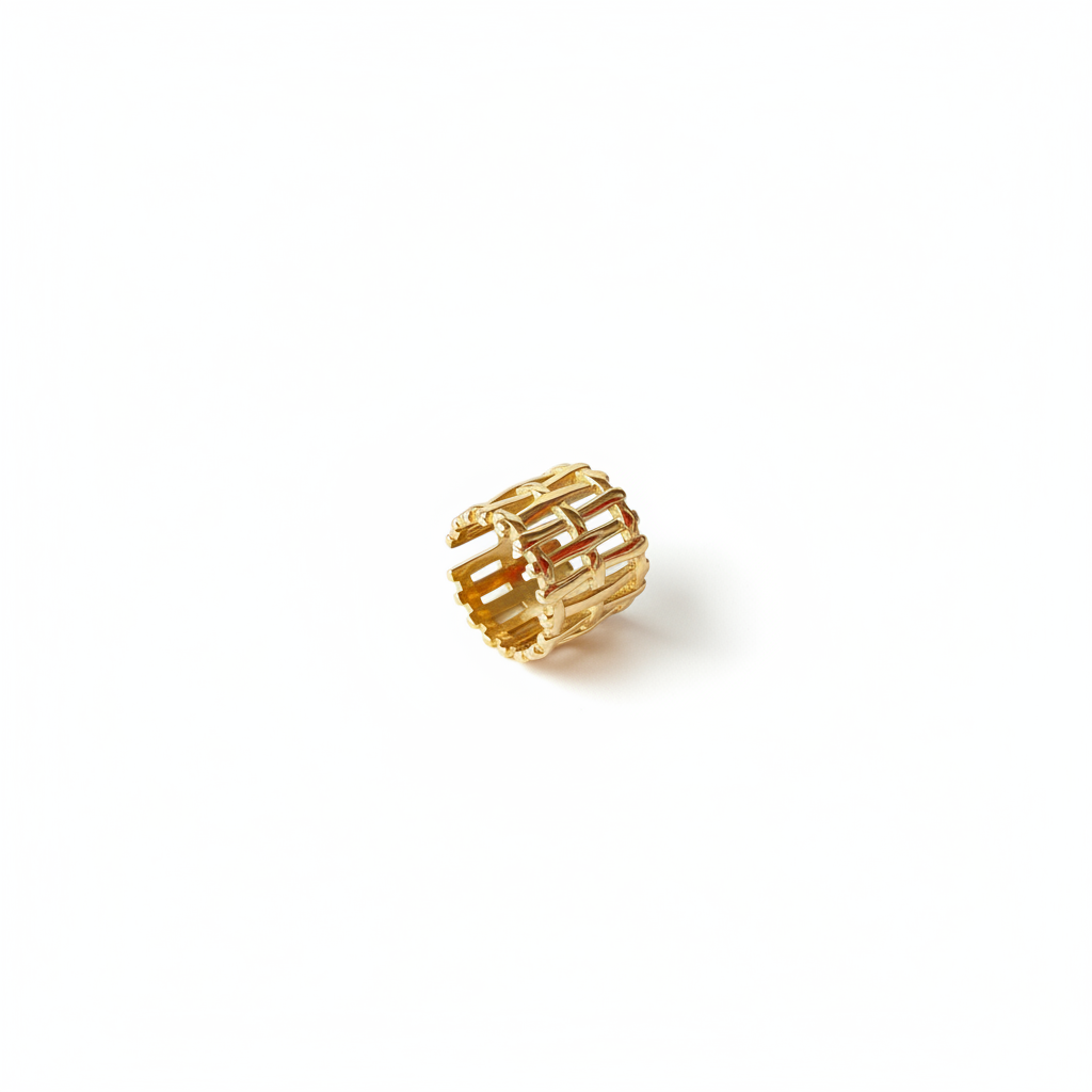 Anello Intreccio: Trama di Libertà