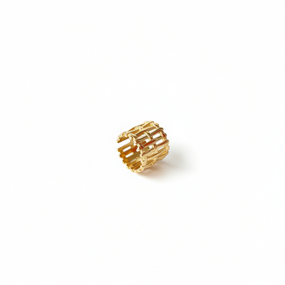 Anello Intreccio: Trama di Libertà