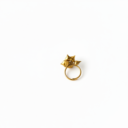 Anello dei Sei Cuori: Eleganza con un significato profondo