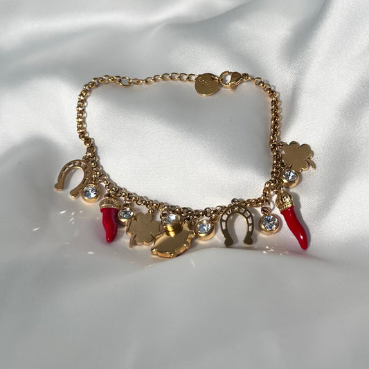 Bracciale portafortuna con charm in acciaio Gold